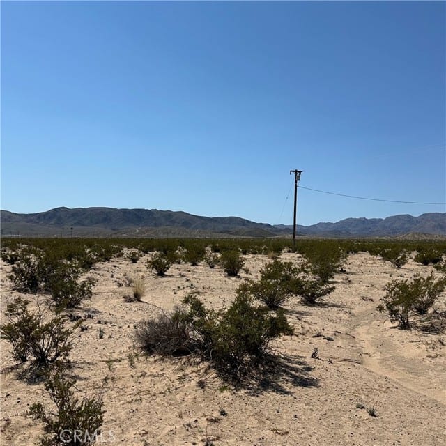 1234 El Paseo