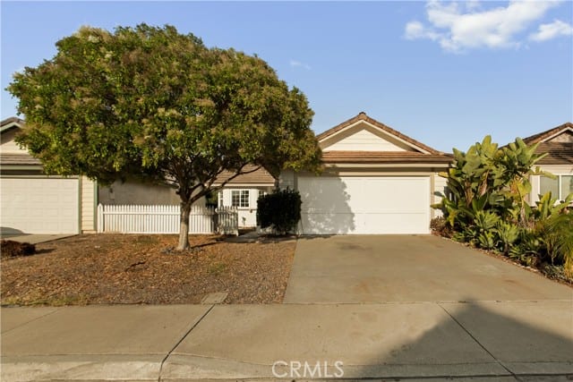 2434 Smokewood