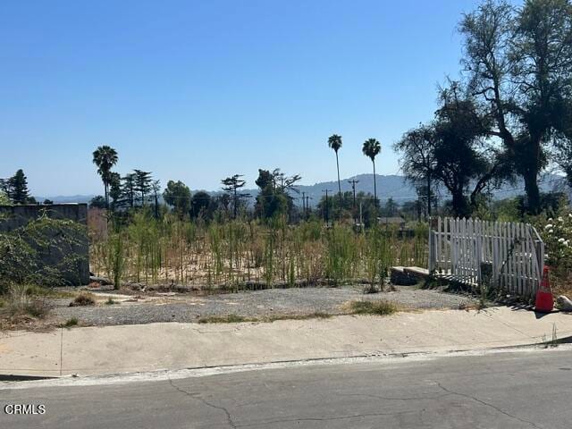 298 East Poppyfields Drive