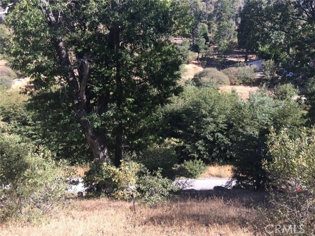 29776 Hook Creek