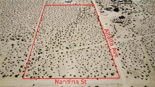 1 Nandina Street
