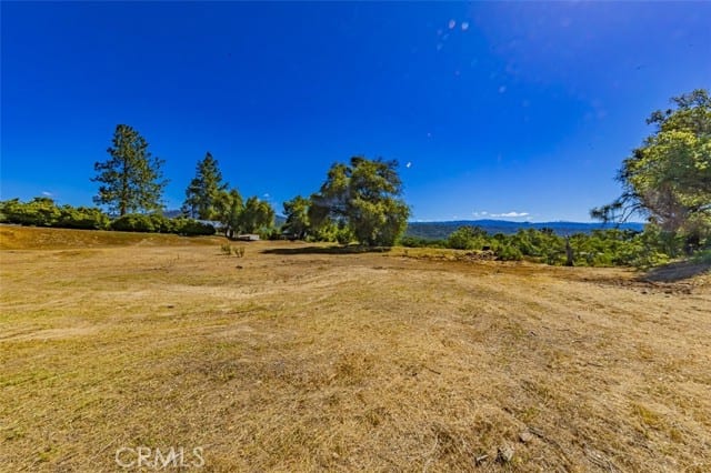 42514 Highway 49