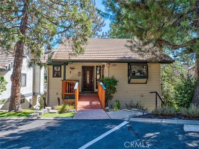 40593 Saddleback