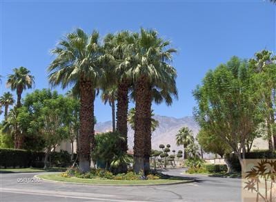 32505 Candlewood Drive