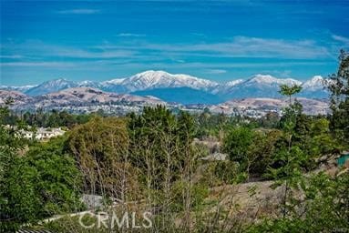 1941 Skyline Drive, Fullerton, CA 92831