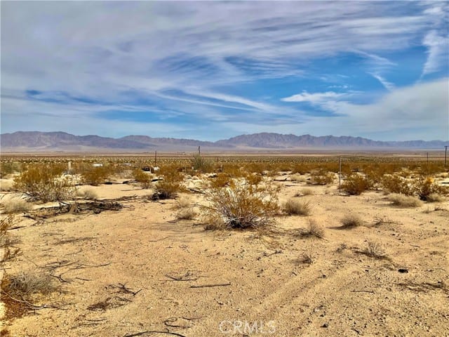 80767 29 Palms