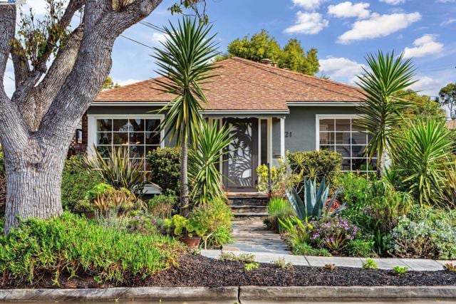 221 SANTA CLARA AVENUE