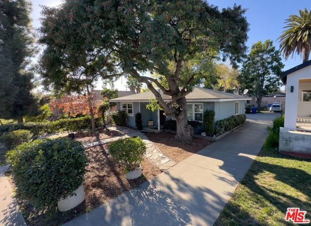 2533 Lincoln Avenue