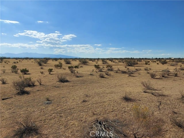 0 Buckbrush Parcel #3080-061-36 Lane