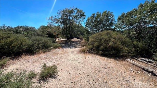 718 Cypress Road