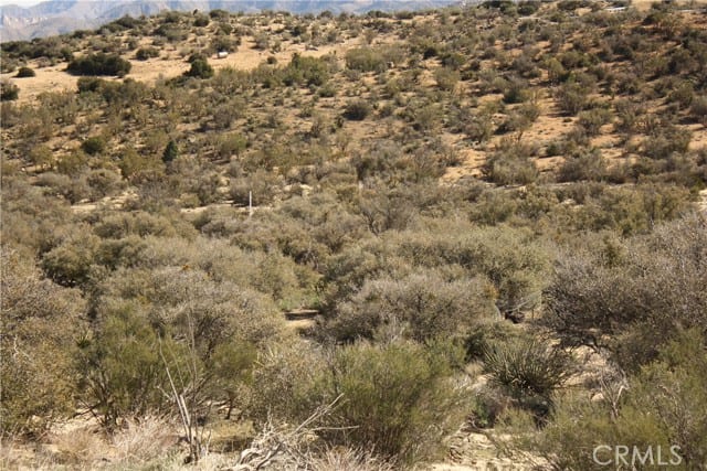0 High Country Trail