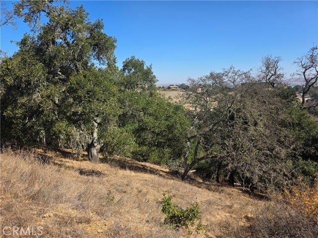 12350 Santa Ana