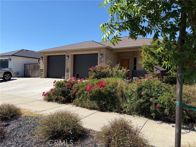 1654 Desert Spring