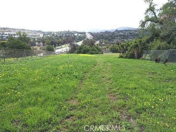 540 Plumosa